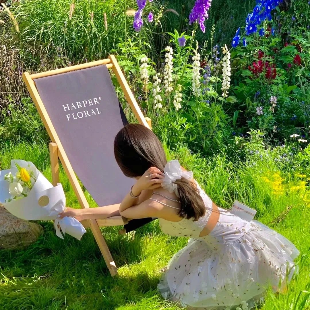 金太狼的幸福生活