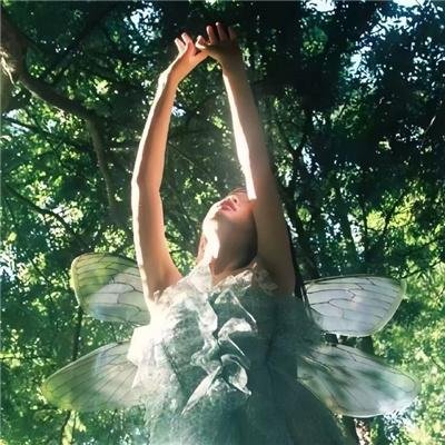 你是我唯一的偏爱